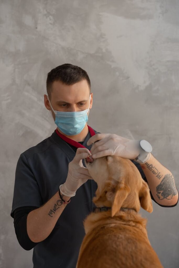 Contacto veterinaria en Córdoba